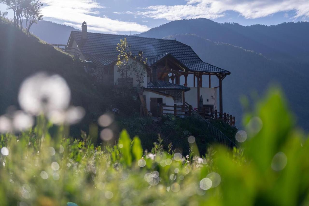 Zeneli Alpin Chalet Cerem Экстерьер фото